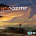 NP Pozitif