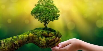 Eril Hegemonya ve Ağaç