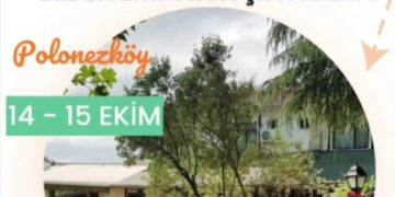 Beden Zihin Ruh Şifa Kampı Başlıyor