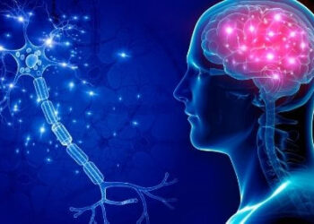 Geçmişten Geleceğe Epilepsililerin Kronolojisi
