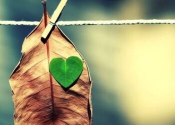 Türkler, Ruhen 44 Yaşında Genç Hissetmeyi Bırakıyor