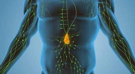 Bağışıklık Sisteminizin Gizli Düşmanı: Lenf Kanseri