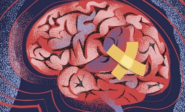 Beynin Kendini İyileştirme Yeteneği Öğrenme Güçlüğüne Umut Oluyor