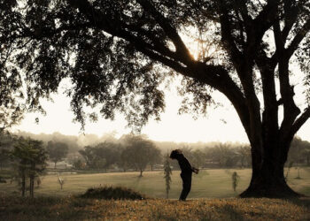 Ağaç Yaş İken Doğrulur - Adem Delibaş yazdı.