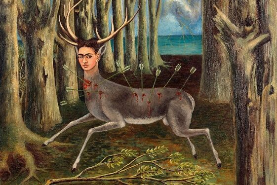 Umut Yıkmanın Döngüsü