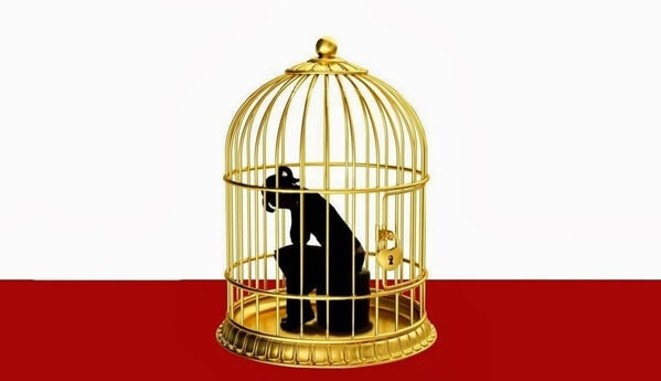 Altın Kafesteki Sessizlik