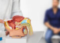 Çok Su İçmek Prostata İyi Gelir mi?