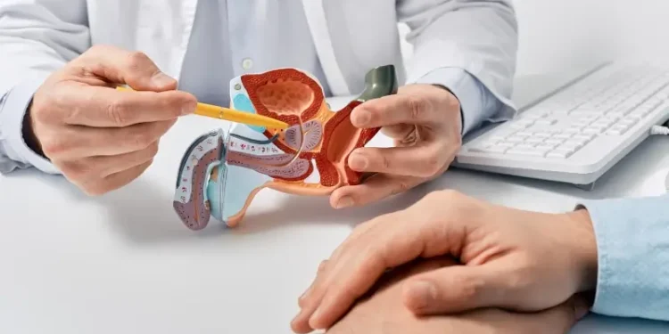 Prostatı Önlemek Için Ne Yapmak Lazım?